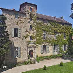 Château (Château de Loubens)