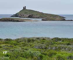 îles Finocchiarola (doc. Collectivité de Corse)