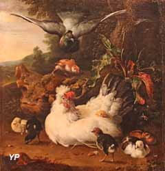 Une poule et ses poussins (Melchior de Hondecoeter)