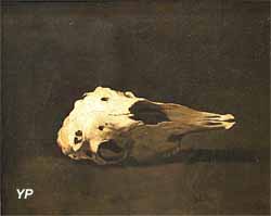 Crâne de mouton (Théodule Ribot)