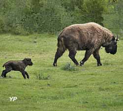 Réserve Zoologique de la Haute-Touche