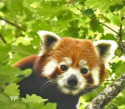 Réserve Zoologique de la Haute-Touche