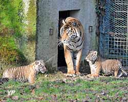Réserve Zoologique de la Haute-Touche