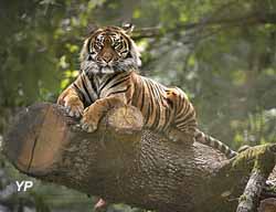 Réserve Zoologique de la Haute-Touche