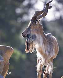 Réserve Zoologique de la Haute-Touche