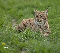 Réserve Zoologique de la Haute-Touche