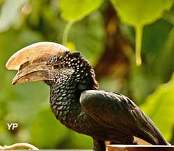 La Ferme aux Crocodiles