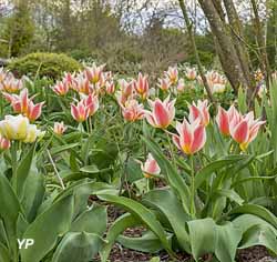 Jardin d'Elisée (doc. Jardin d'Elisée)