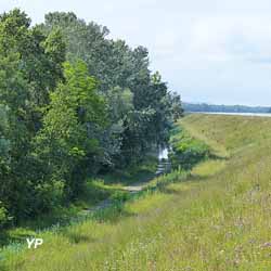 Réserve naturelle de l'Île de Rhinau