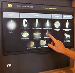 Musée de Préhistoire