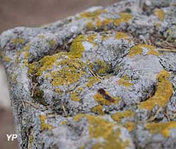 Nécropole Mérovingienne