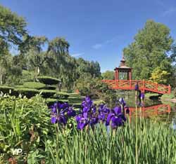 Pont chinois (Parc Floral )