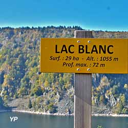 Balade ludique - Les balcons du Lac Blanc (doc. Office de Tourisme de la vallée de Kaysersberg)