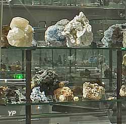 Collection de Minéraux de Sorbonne Université