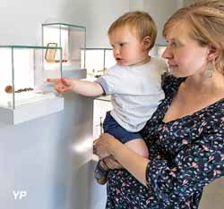 Maison famille Martin - maison natale de Sainte-Thérèse