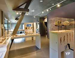 Musée de préhistoire