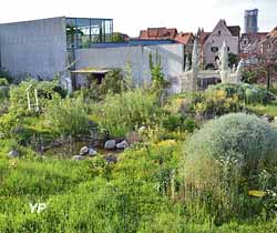 Jardin, Œuvre Schatz & Jardin du duo STEINER & LENZLINGER