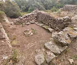 Oppidum du Marduel (Association Des Pousses & Des Pierres)