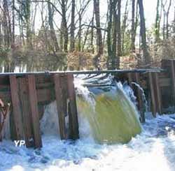 Port de Larros (Gujan-Mestras Environnement�)