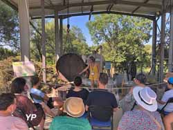 Distillerie Bel Air (Distillerie Bel Air)