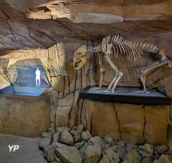 Musée de l'ours des cavernes (doc. L. Fouque − Chartreuse Tourisme)