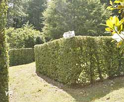 Parc et Jardins du Château du Champ de la Pierre