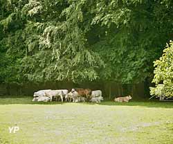 Parc et Jardins du Château du Champ de la Pierre