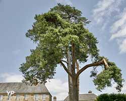 Parc et Jardins du Château du Champ de la Pierre