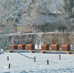 Jardin de plantes mellifères