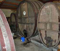 Jardin de plantes mellifères