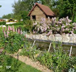 Jardin de plantes mellifères