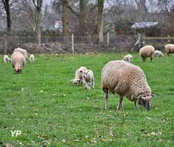 Écomusée du pays de Rennes