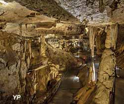 Colonnes en formation