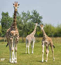 Zoo de la Boissière-du-Doré
