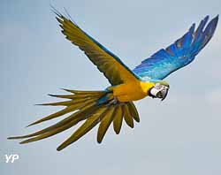 Zoo de la Boissière-du-Doré