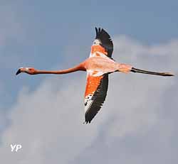 Zoo de la Boissière-du-Doré