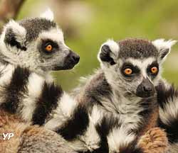 Zoo de la Boissière-du-Doré