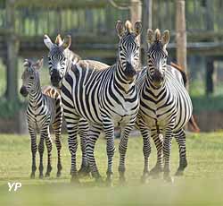 Zoo de la Boissière-du-Doré