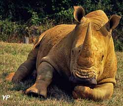 Zoo de la Boissière-du-Doré