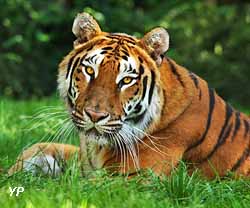 Zoo de la Boissière-du-Doré