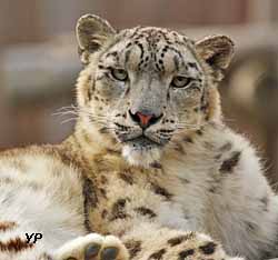 Zoo de la Boissière-du-Doré