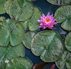 Parc Floral de Paris