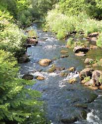 Le Faouët, la rivière Ellé (doc. OTPRM)