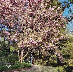 Le Jardin des MétamorphOZes