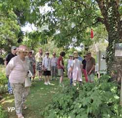 Le Jardin des MétamorphOZes