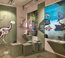 Salle de Paléontologie