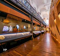 Espace Monaco et l'Océan - de l'exploration à la protection