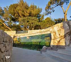 Bac-Odyssée-des-tortues