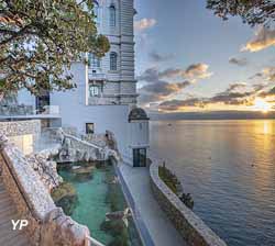 Bac-Odyssée-des-tortues