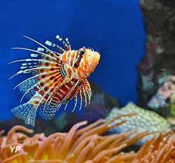 Musée océanographique de Monaco